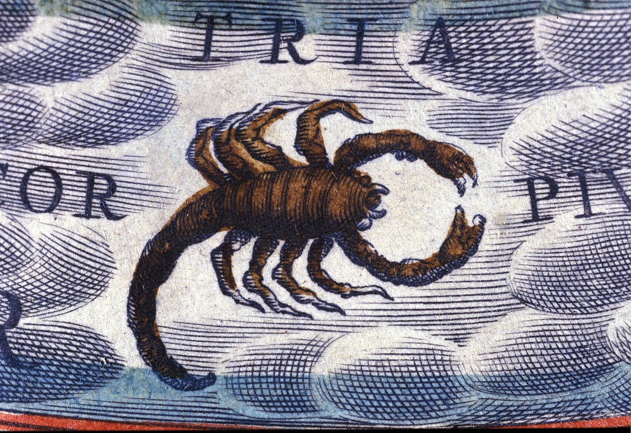Horóscopo: signo do zodíaco, o Escorpião. de Unknown artist