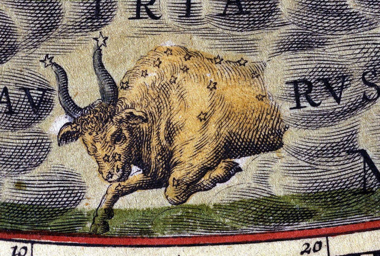 Horóscopo: signo do zodíaco, o Touro. de Unknown artist