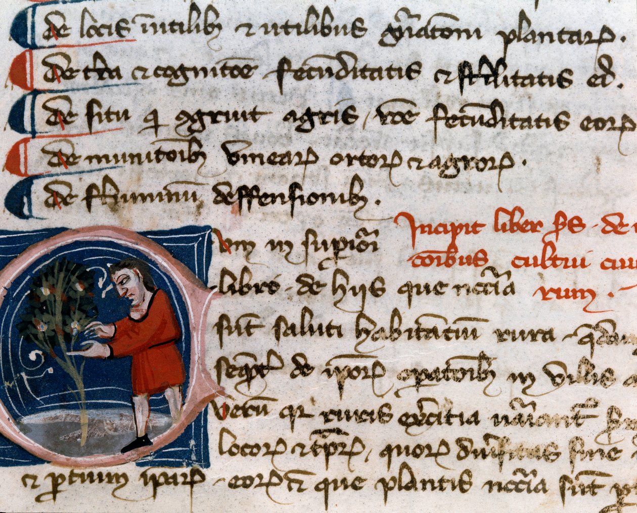Horticultura: colheita de frutas. Detalhe. Página manuscrita (MS.s.vi) "Trattato di agraria" de Pietro de Crescenzi (Pedra Crescente ou Pedra Crescente) (1233-1320) Século XIV Cesena, Biblioteca Malatestiana de Unknown artist
