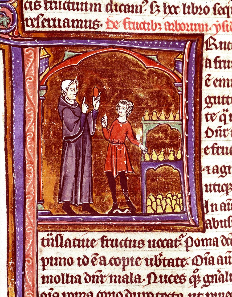 Como armazenar pêras Miniatura do manuscrito "Speculum historiale" (Le Mirror historiale) de Vincent de Beauvais (1184/94-1264) Século XIII Laon, biblioteca municipal de Unknown artist