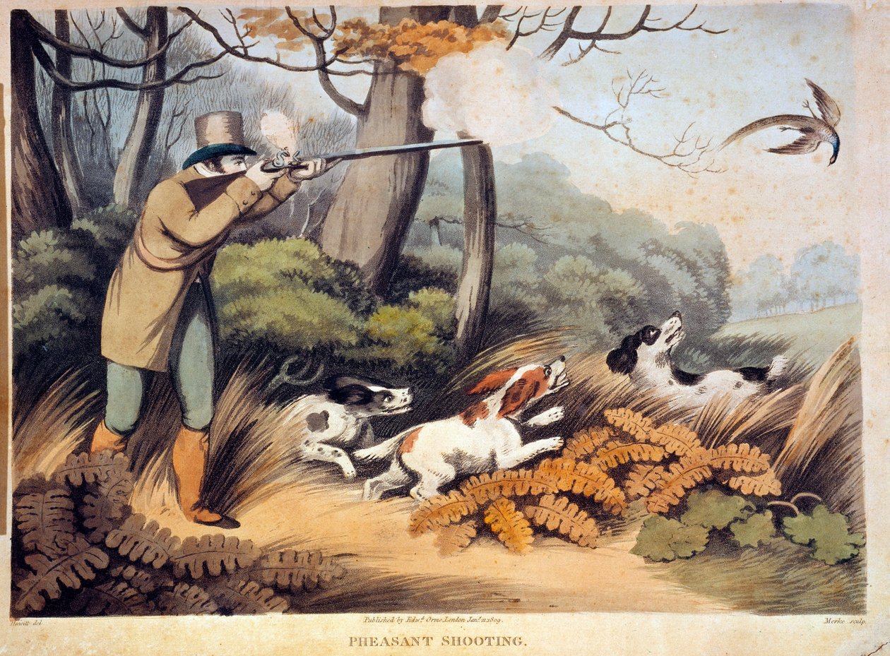 Caça aos faisões em Inglaterra. Gravura do século XIX. Gien, museu da caça. de Unknown artist