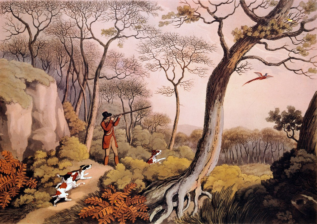 Caça aos faisões em Inglaterra. Gravura do século XIX. Gien, museu da caça. de Unknown artist