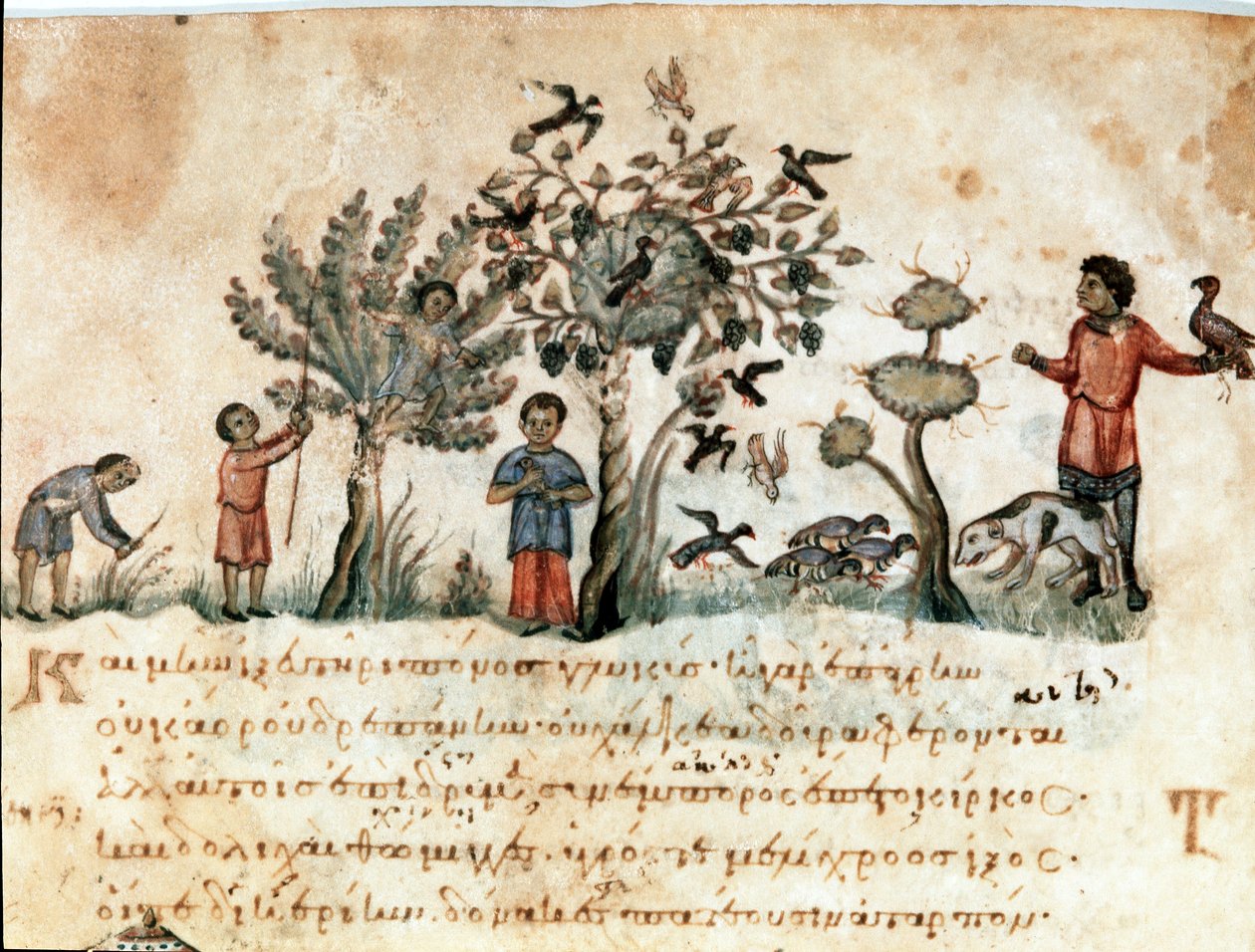 Cena de caça com falcões e coleta de frutas Miniatura retirada da ordenha de caça "The Cynegetics" de Oppian (Oppian ou Oppianus) da Síria (século III d.C.) dedicada a Caracalla. Veneza do século XI. Biblioteca Marciana de Unknown artist