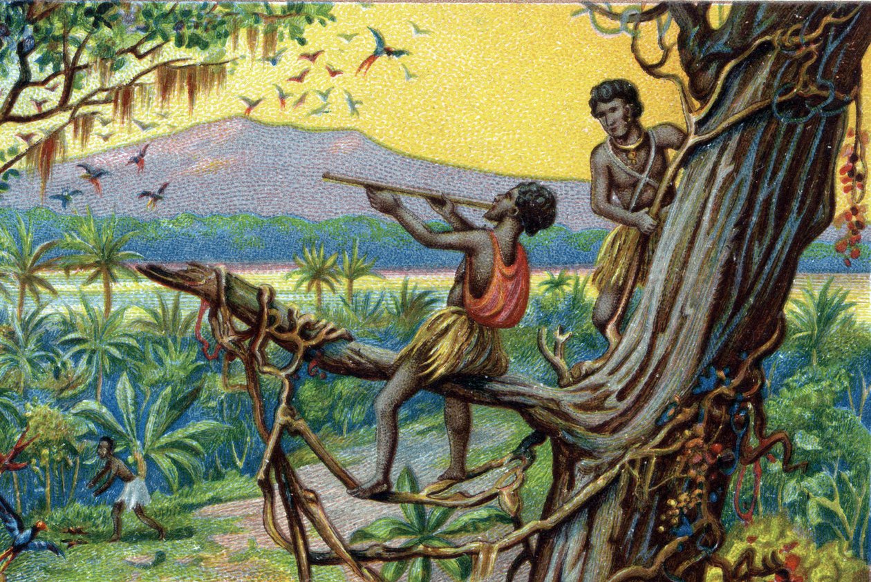 Técnica de caça. Caça de beija-flores no arquipélago polinésio: os habitantes utilizam mordeduras. Cromolitografia do século XIX. de Unknown artist
