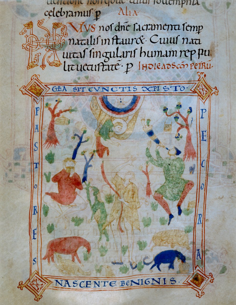 Página iluminada de ovelhas e pastores, parte do Codex de Varmondo, C.1000 de Unknown