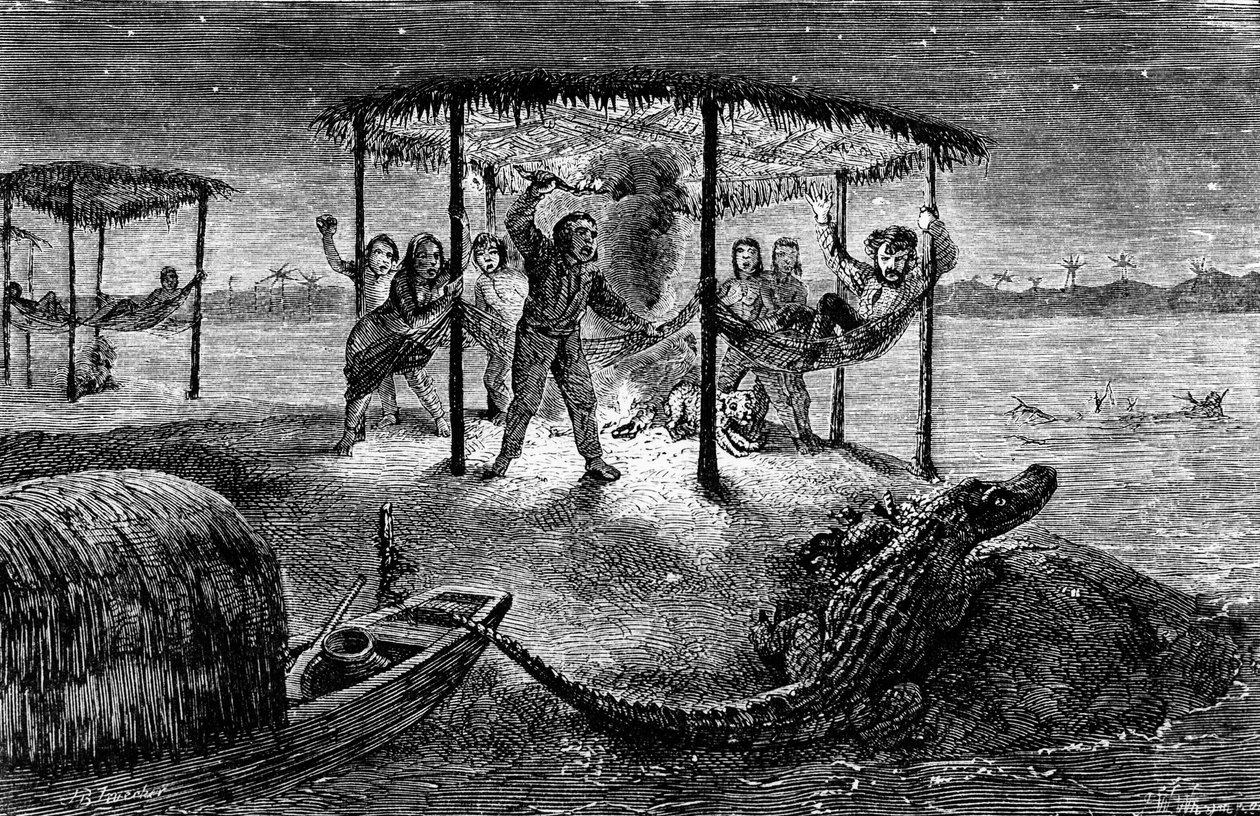 Ilustração "O Naturalista no Rio Amazonas" de Henry Walter Bates (gravura) de Unknown artist