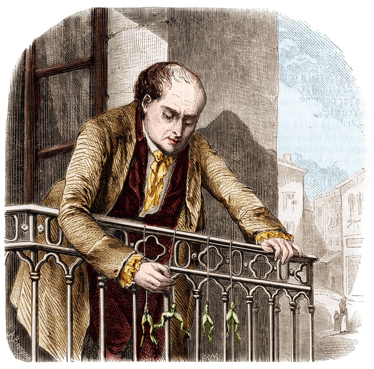 Ilustração de experiências de Luigi Galvani, físico e médico italiano (1737 - 1798) com sapos. de Unknown artist