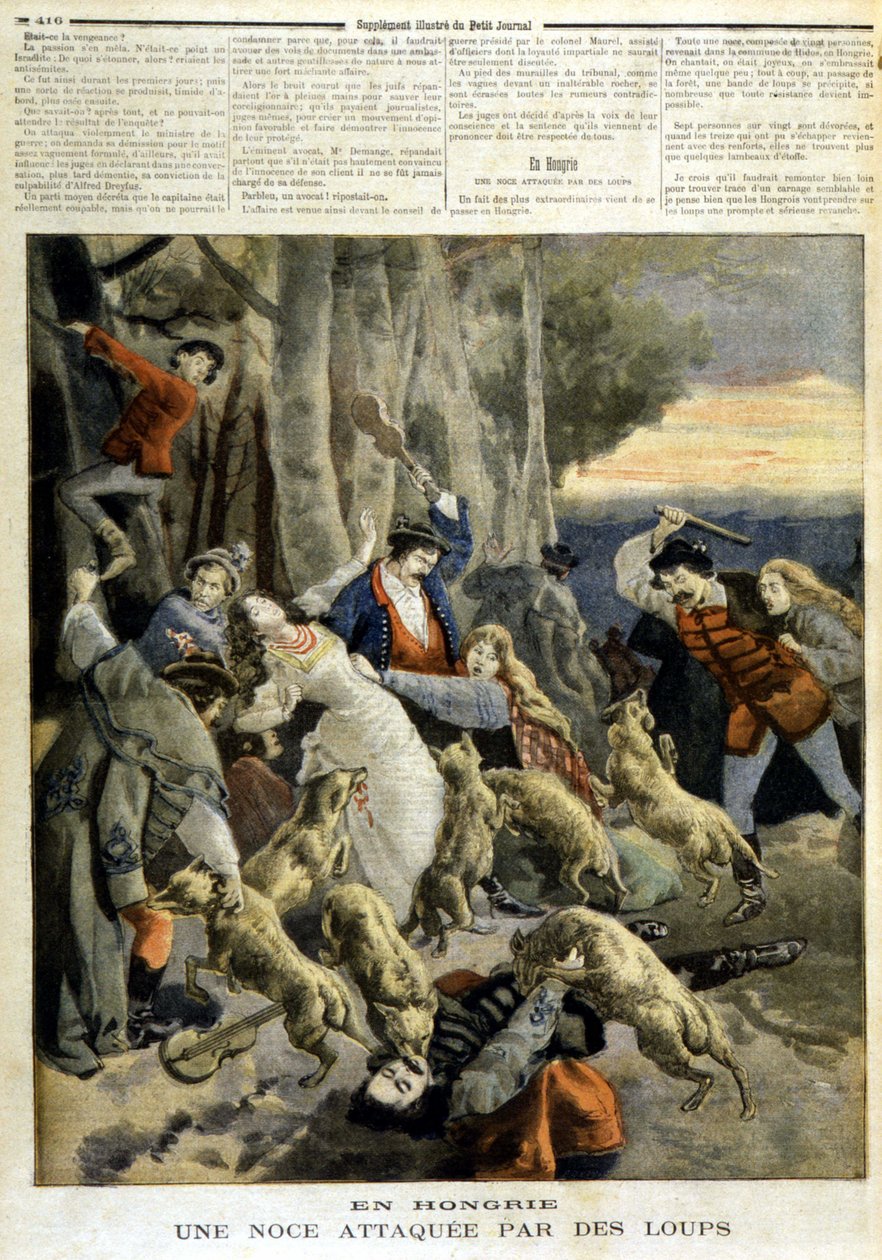 Na Hungria: um casamento atacado por lobos - no "Le Petity Journal" de 23/12/1894 de Unknown artist