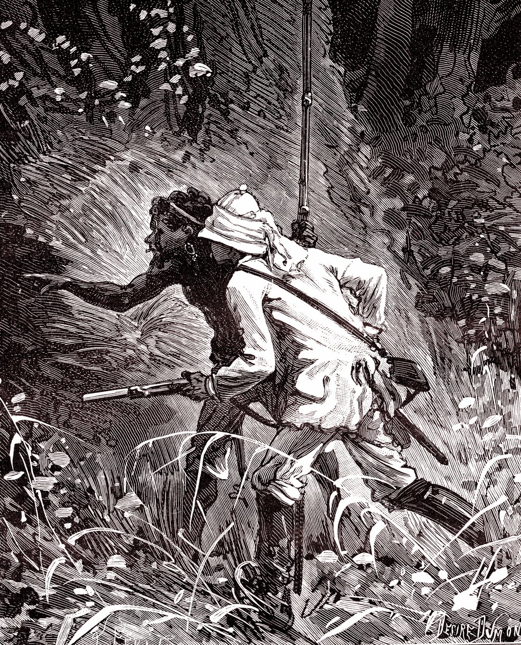Nos campos de borracha (Hevoea) na selva da Guiana de Unknown artist