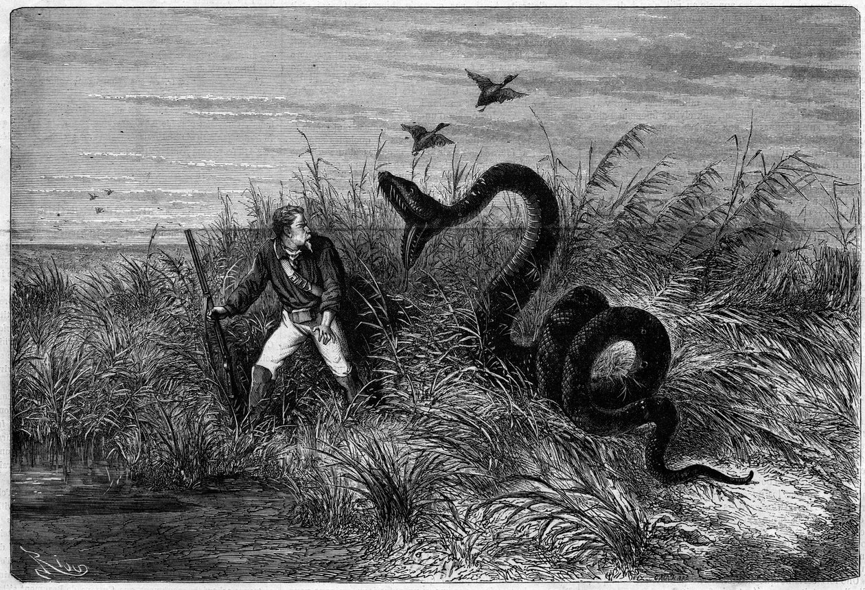 Incidente na savana de uma caça ao pato. Excerto de "Journey to French Guiana" de Frederic Bouyer, capitão de fregate. Gravação em "L