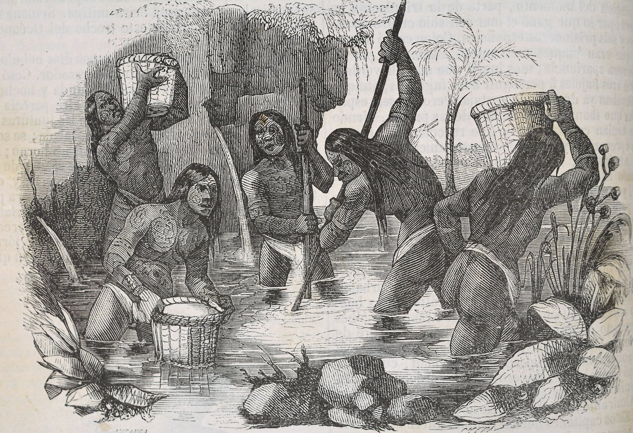 Índios da Ilha de Hispaniola à procura de ouro de Unknown artist
