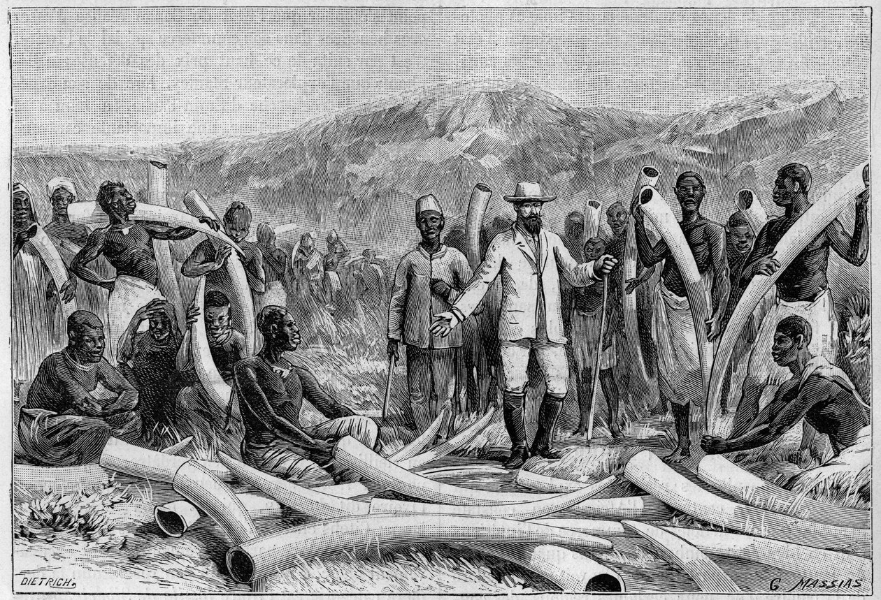 Marfim na África: defesas de elefantes recolhidas por Emin Pacha (Eduard Schnitzer, conhecido como Mohammed Emin Pacha) de Unknown artist