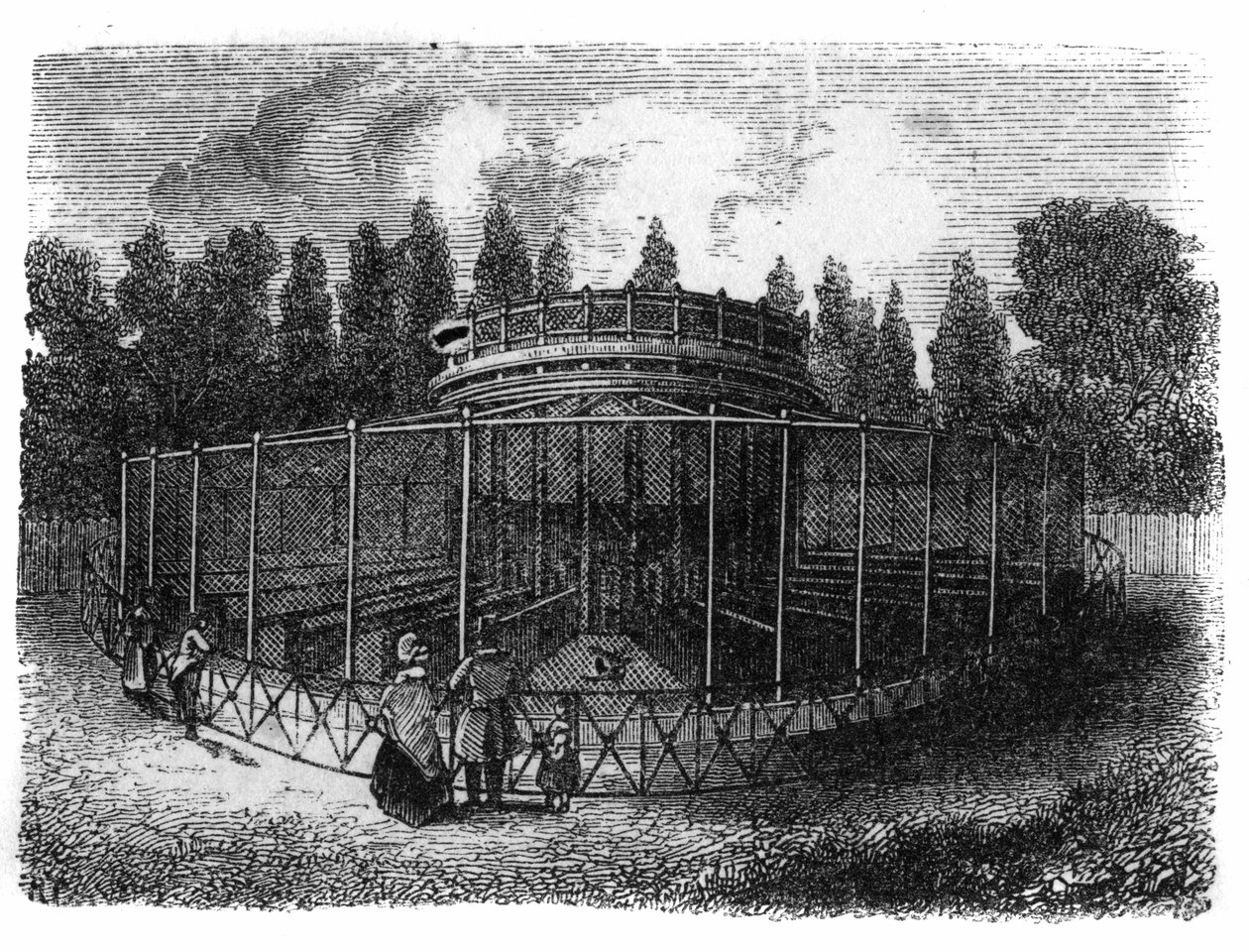 Jardin des Plantes em Paris, em 1861: faisandro. de Unknown artist