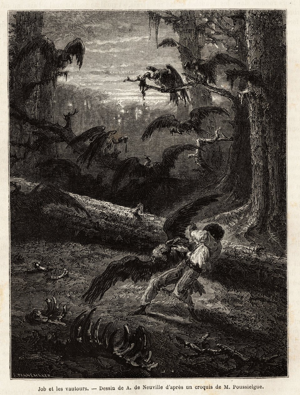 Trabalho (companheiro de viagem do redator), atacado por abutres. Gravura para ilustrar a história Quatre mois en Florida, de M. Pousselgue, em 1851-1852, publicada em "le tour du monde", sob a direção de D