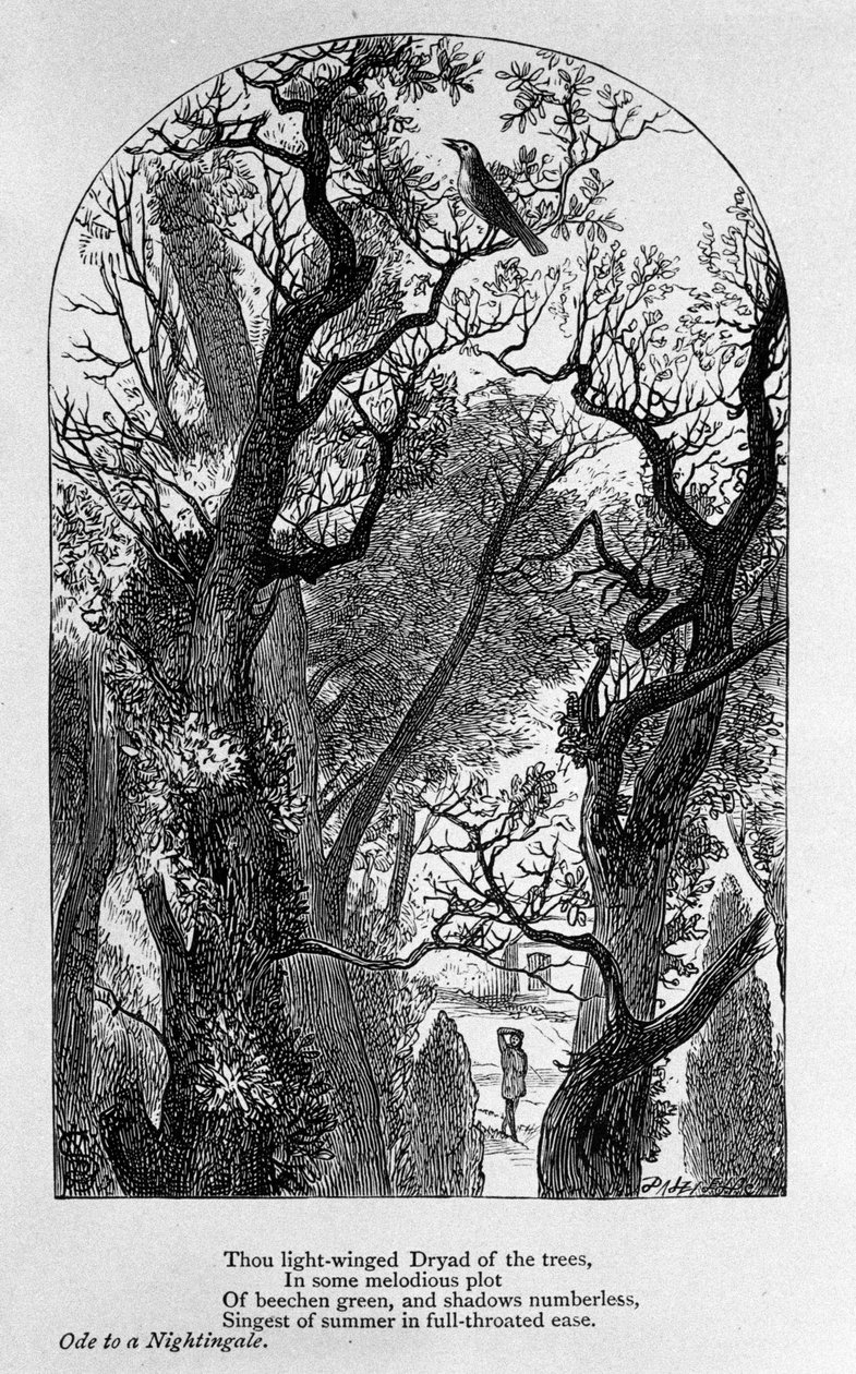 John Keats: Ode a uma casa noturna de Unknown artist