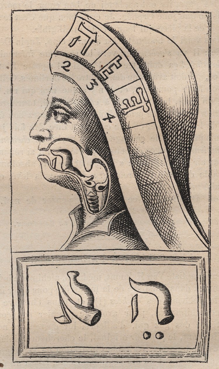 Kabbalah - Kabbalale - Ilustração de: "Alphabeti vere naturalis Hebraici brevissima delineatio" (O Alfabeto da Natureza) de Franciscus Mercurius van Helmont (1618-1699) (François Mercure Van Helmont) - Neste trabalho, van Helmont afirmou que cada letra de Unknown artist