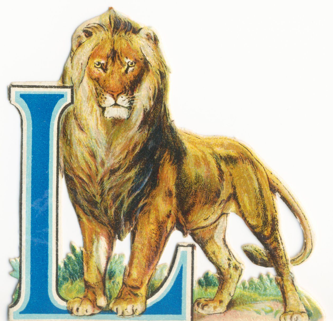 L: leão de Unknown artist