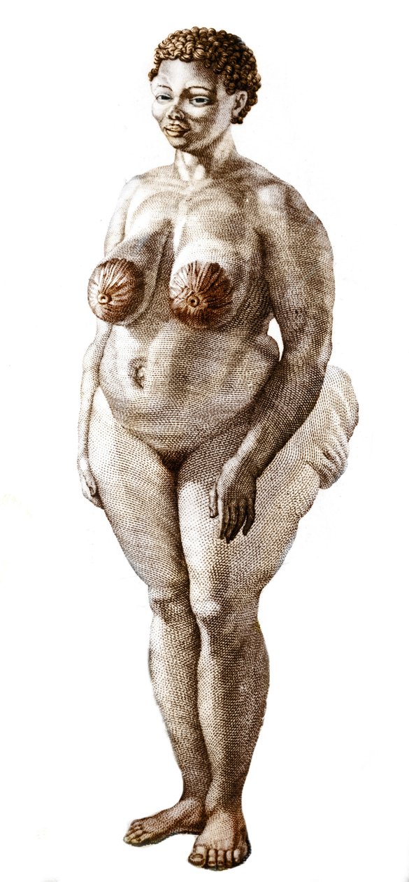 La Venus Hottentote, mulher do grande Bochiman (The Hottentot Venus,) gravura de 1815. de Unknown artist