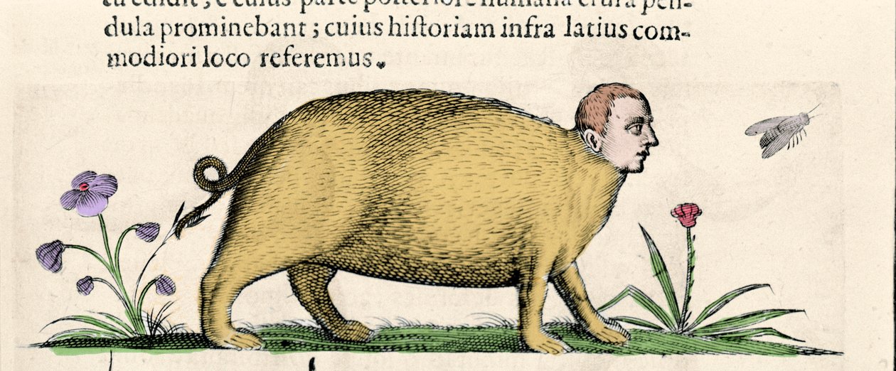 O manticore - em "De monstrorum natura causis libri duo", de Fortunio Liceti de Unknown artist