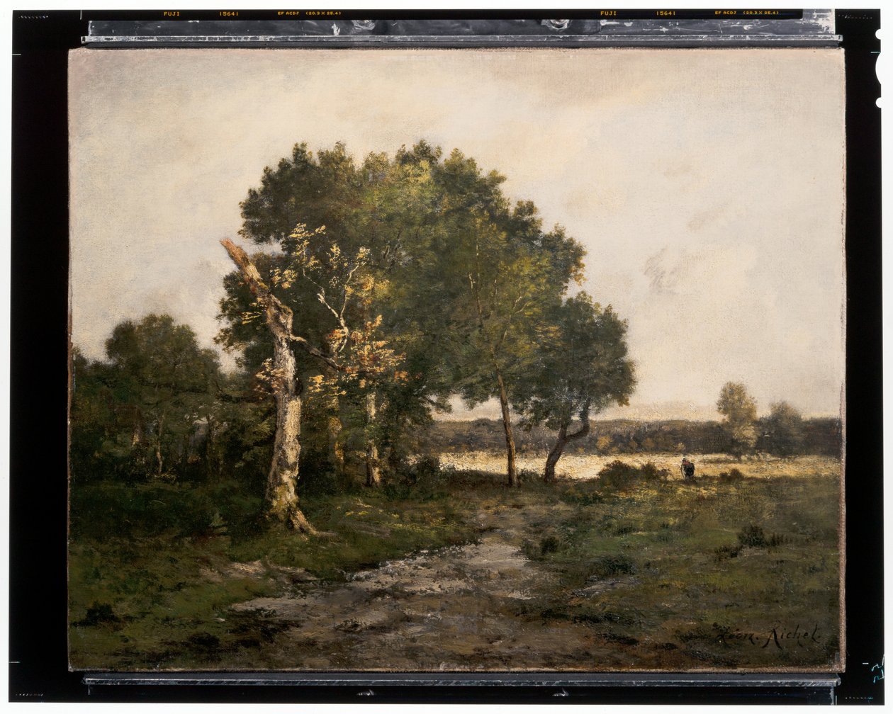 Paisagem, c.século XIX (óleo sobre tela) de Unknown artist