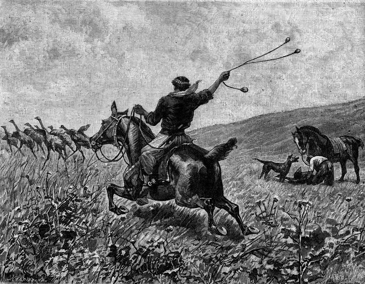 Lasso: caça ao casoar com lasso de bola. Gravura em "Le Journal de la jeunesse". de Unknown artist