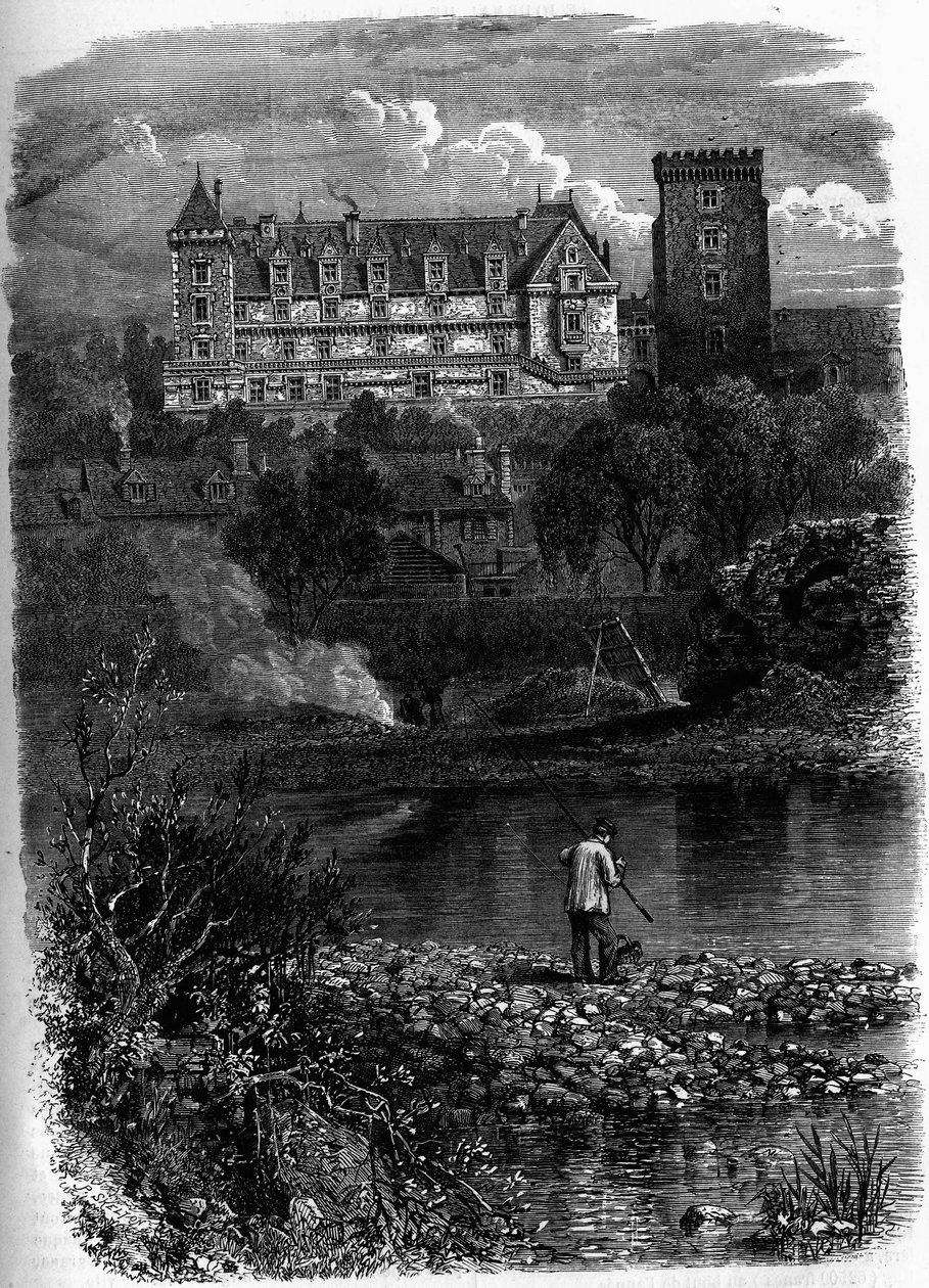 O castelo de Pau, Pirinéus Atlânticos (64). de Unknown artist