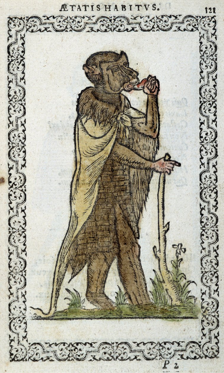 Le monge debout - in "Habits et éffigies" de Jean Sulperius de Unknown artist