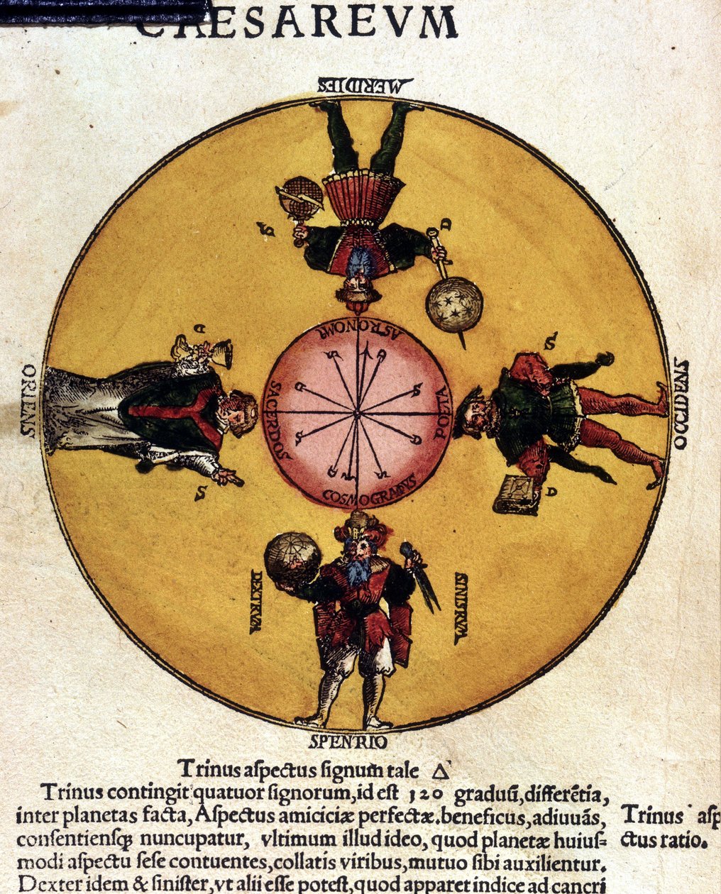 Les antipodes - em "Astronomicon caesarum", tratado do século XVI. de Unknown artist