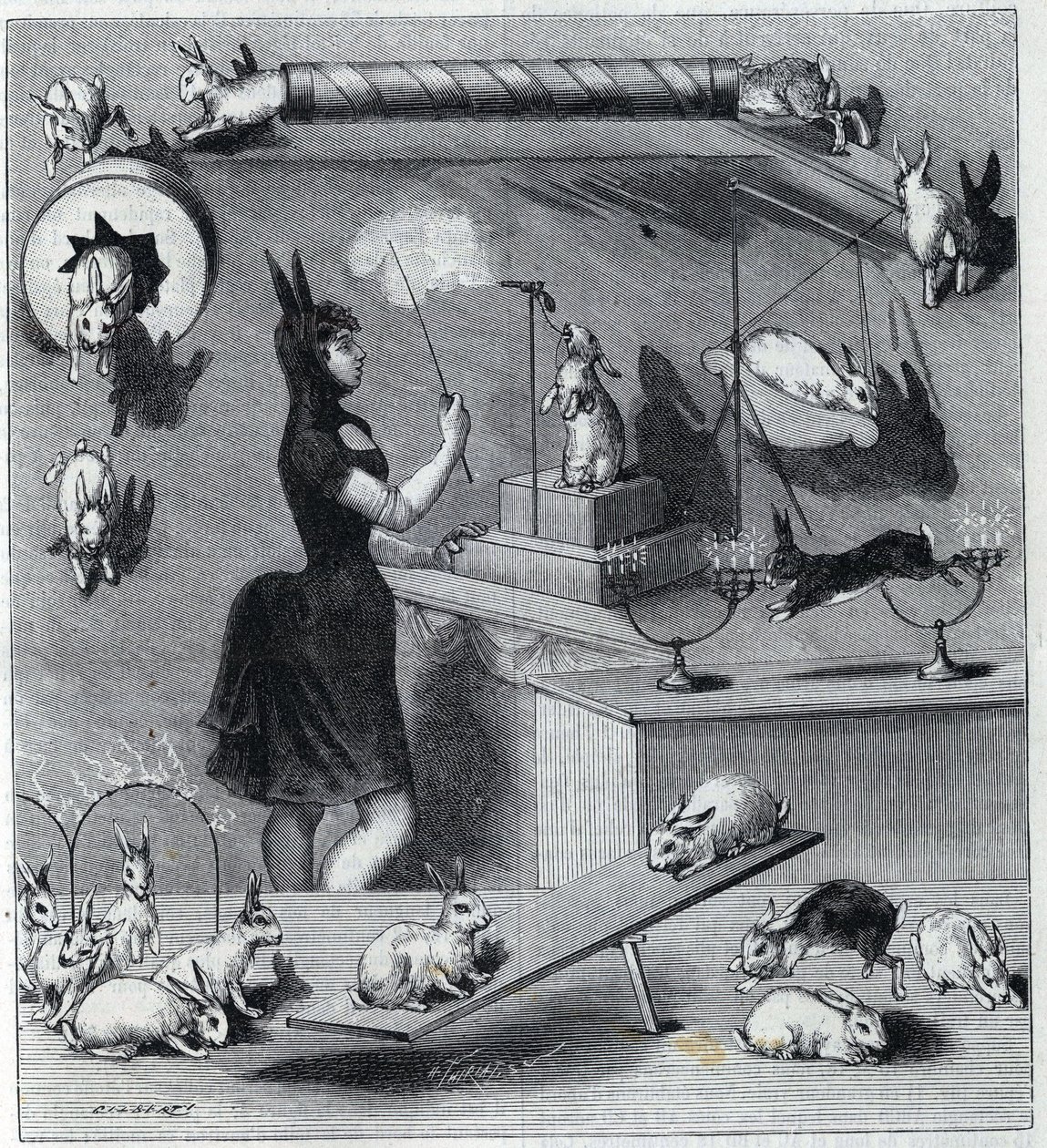 Les coelhos vestidos du Nouveau Cirque em Paris: domador em traje de coelho ensinando os diferentes números ao animal. Gravura em "La Nature" 1890. Coleção particular. de Unknown artist
