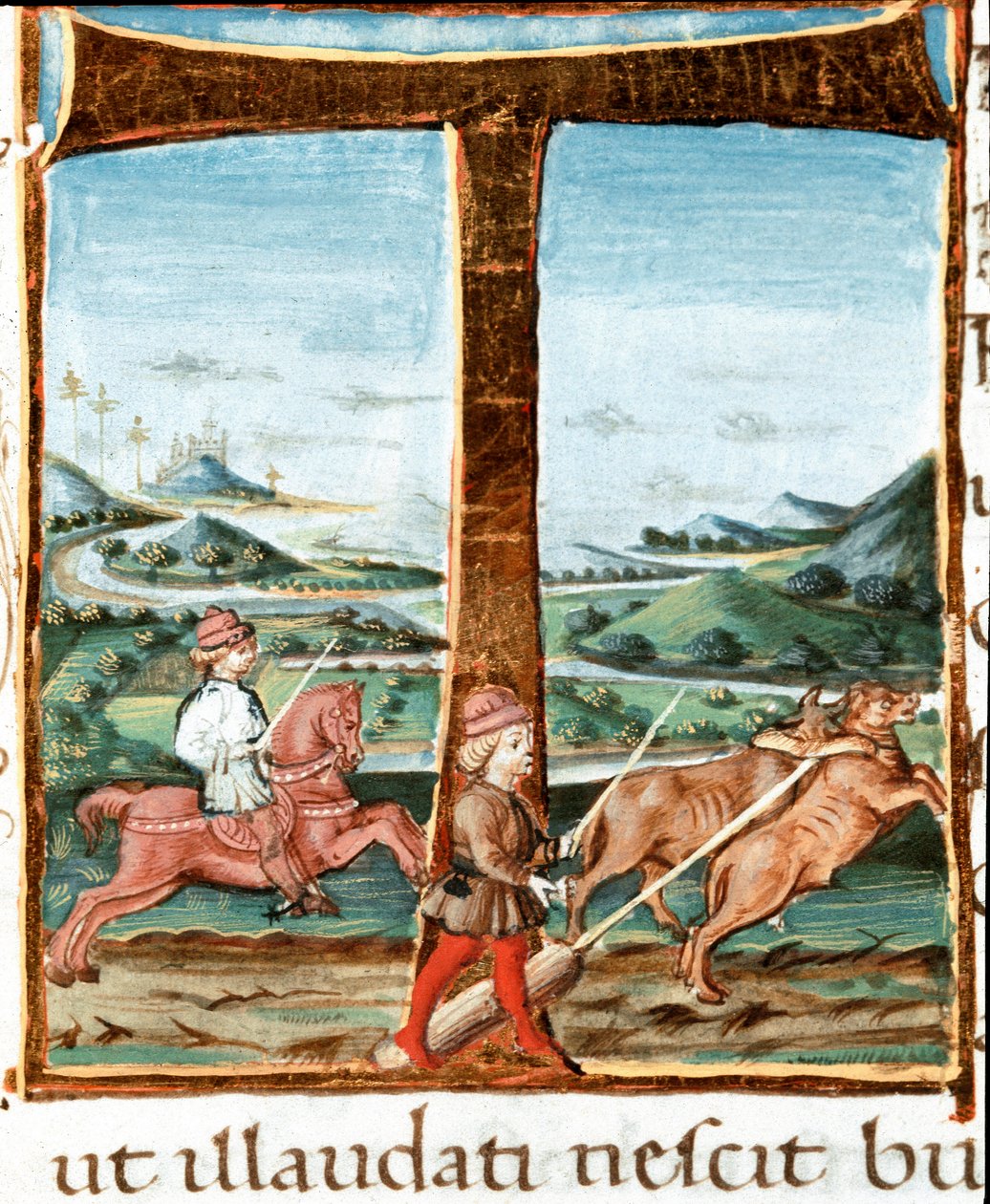 Lettrine T decoree de um cavaleiro e um treinador de bois - Miniatura tirada de "The bucoliques" (Eglogues) por Virgil (Publius Vergilius Maro) (70-19 AC) (Ms IV E.12). Século XV Nápoles, Biblioteca Nazionale de Unknown artist