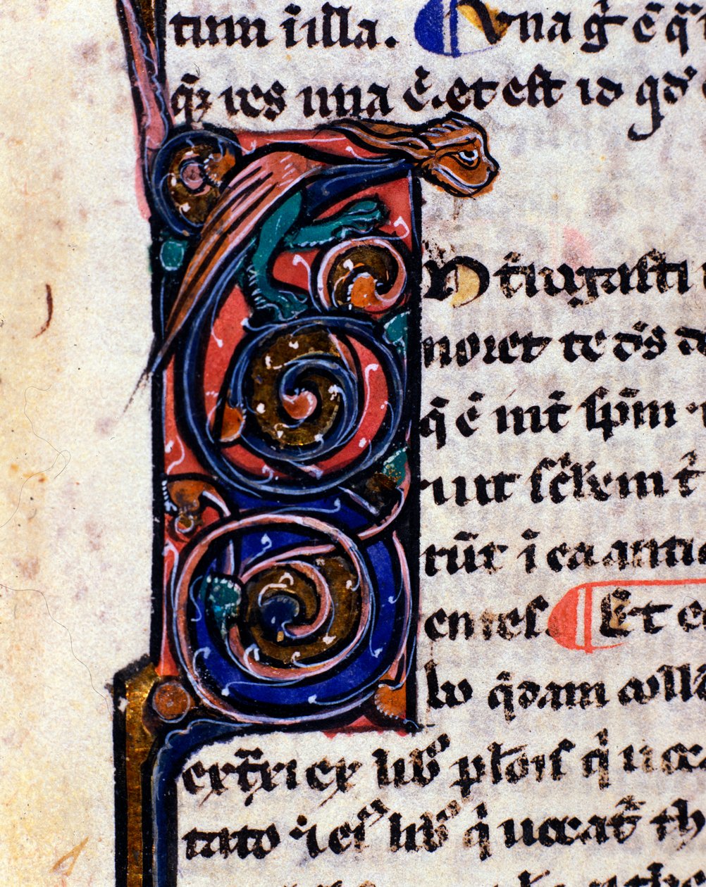 Lettrine decoree de um monstro gótico lembrando as gárgulas Detalhe do manuscrito do século XIV. de Unknown artist
