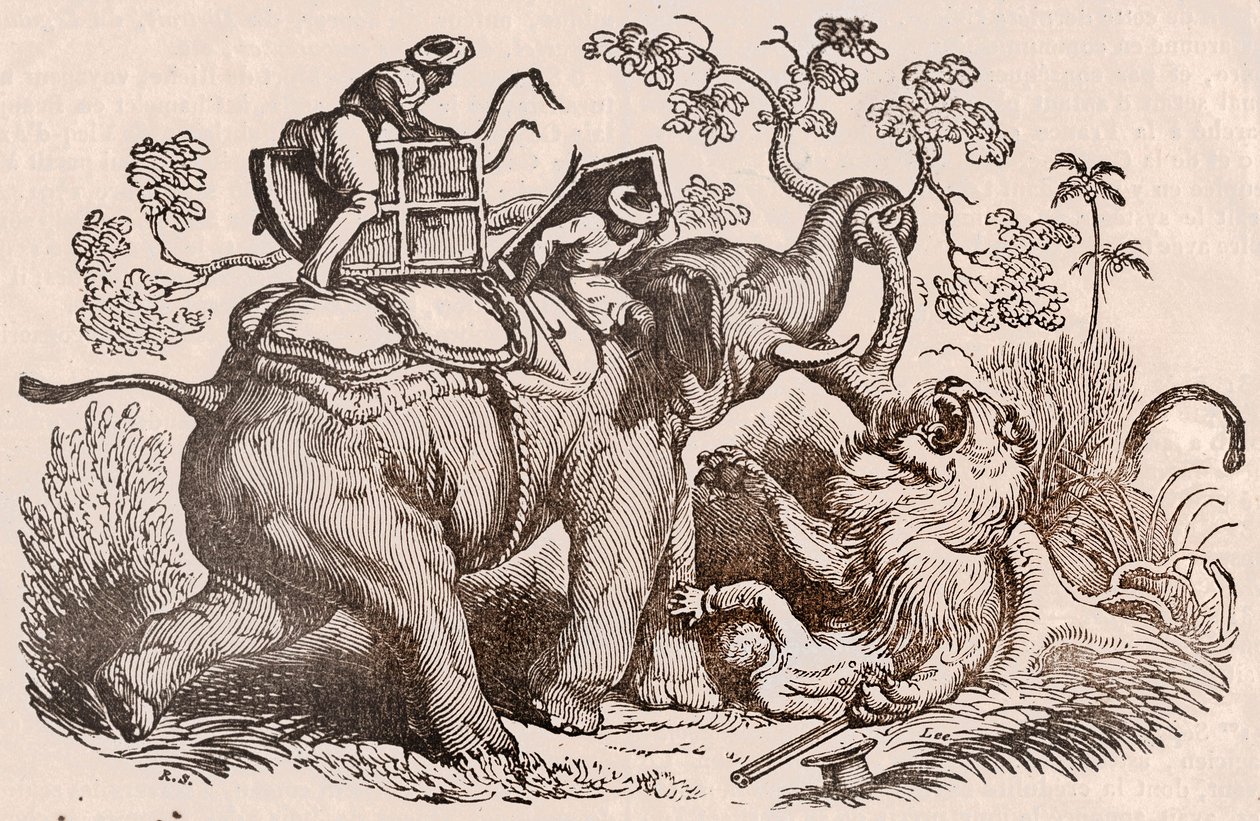 Cena de caça ao leão: o caçador, túmulo do elefante, está agora nas garras do leão (gravura) de Unknown artist