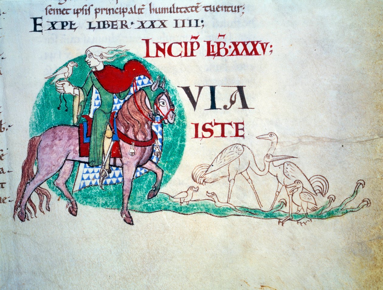 O Senhor tem a caça ao falcão. A miniatura da Idade Média. Manuscrito "Moralia em Jó" da Abadia de Citeaux para Gregoire Papa I de Unknown artist