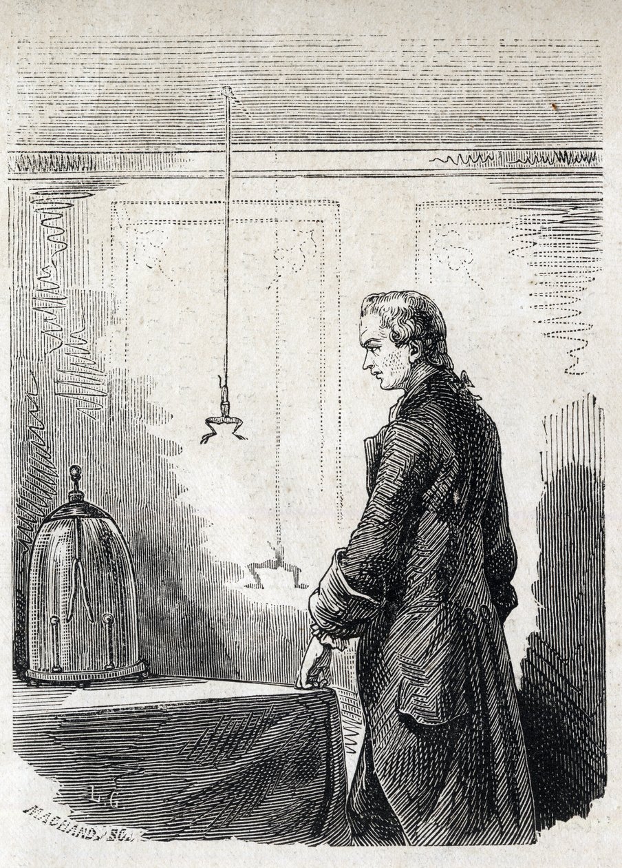 Luigi Galvani provoca contracções de rãs por electroímanes - LUIGI GALVANI (1737-1798) Médico e especialista em medicina italiana. Causa Contrações em um Sapo com Eletricidade de um Thundercloud de Unknown artist