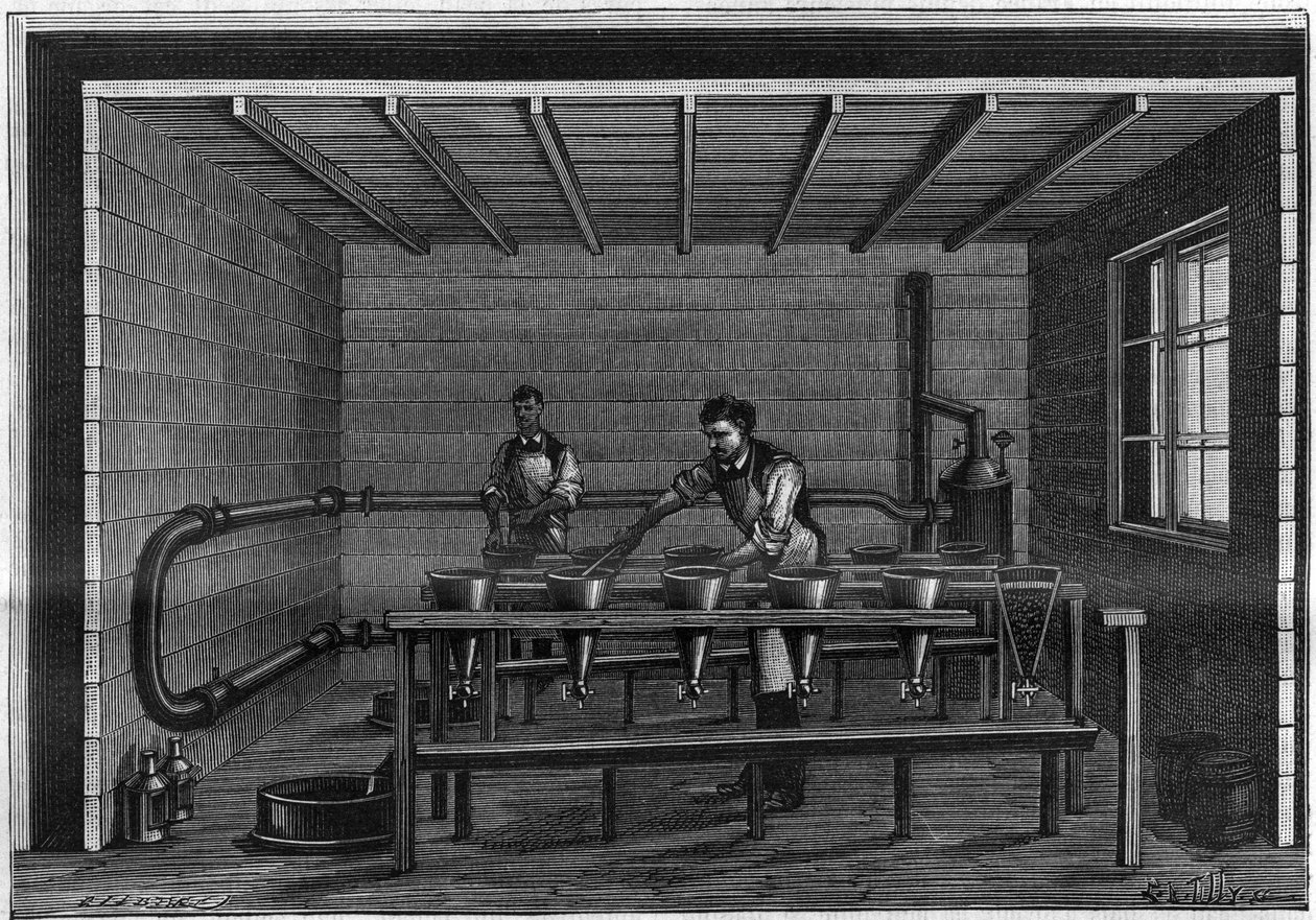 Fabricação de vaselina. Disposição de uma unidade de filtração sobre o animal preto. Gravação a partir de 1885. de Unknown artist