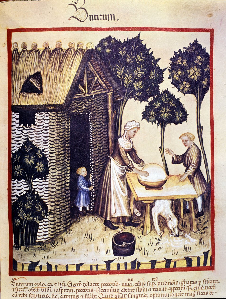 Fabricação de manteiga. Iluminação a partir da ordenha de medicamentos e dietética "Tacuinum sanitatis". de Unknown artist