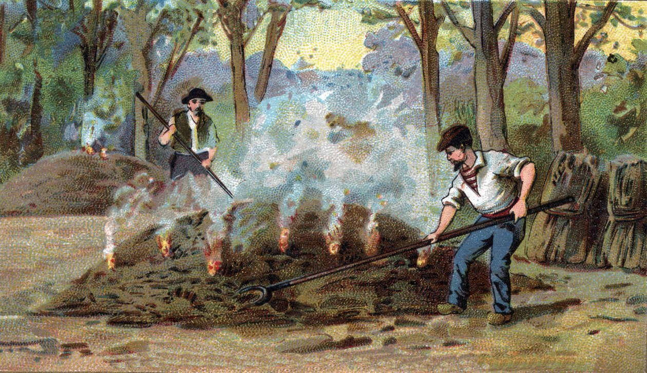 Fabricação de carvão vegetal, forno de combustão. Cromolitografia do final do século XIX. de Unknown artist