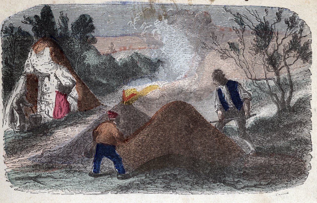 Fabricação de carvão vegetal no século XIX: fabricantes de carvão em frente a mós compostas de madeira e barro a que ateiam fogo. Gravura no final do século XIX. de Unknown artist