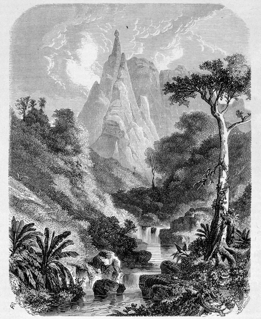 Maurício: o Peter-Booth - em "Le Tour du Monde", 2ª semana 1861 de Unknown artist