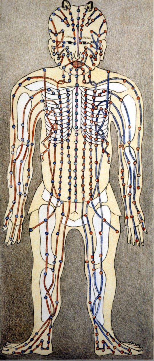 Medicamentos. Diagrama do corpo humano a partir de um tratado de acupunctura. Biblioteca privada, Milão. de Unknown artist