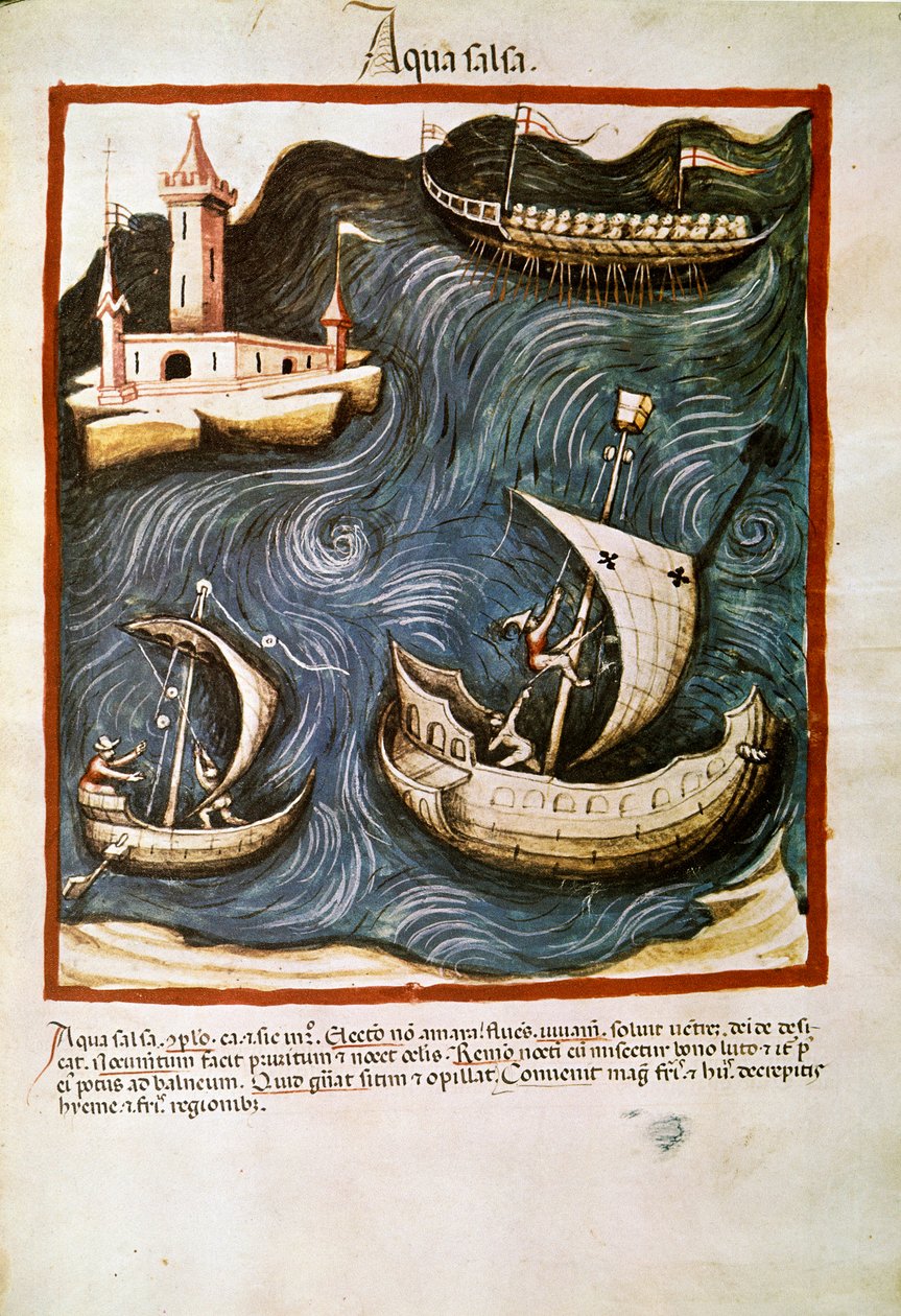 Comércio de medicamentos: "água salgada" Página retirada de "Tacuinum sanitatis" (Cod. ser. nov. 2644) Cerca de 1400 Viena, Osterreischische Nationalbibliothek de Unknown artist
