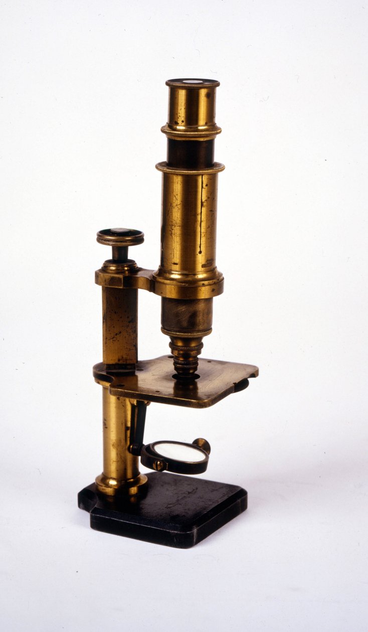 Microscópio. Século XIX de Unknown artist