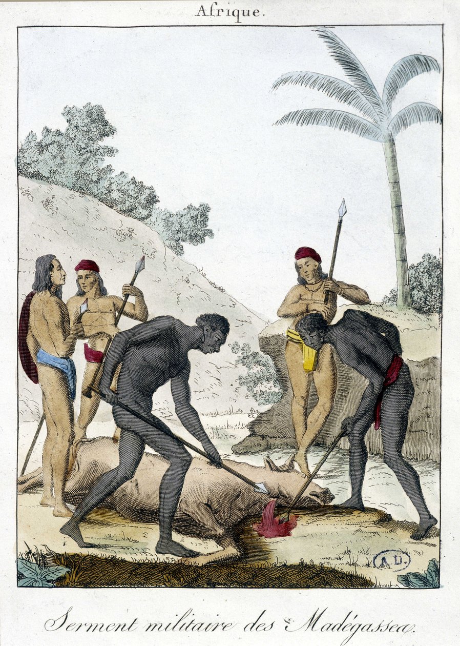 Juramento militar dos habitantes de Madagáscar (abatido um boi) - grv. 1811 de Unknown artist