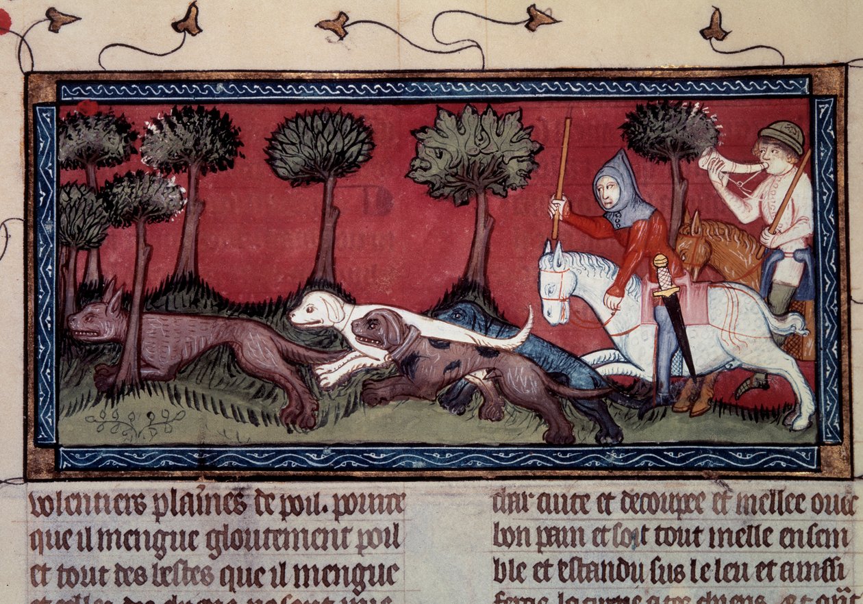 Caça à raposa em miniatura a partir de manuscrito fr. 1297 "Livro do Rei Modus e da Rainha Ratio" de Henri de Ferrieres (século XIV) de Unknown artist