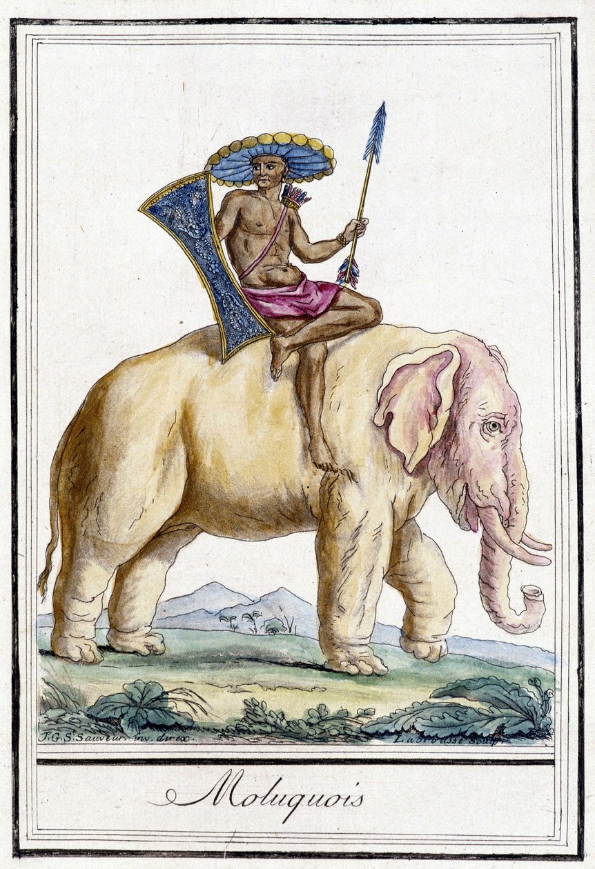 Homem molucquês sobre um elefante (Ilhas Molucas, Indonésia). de Unknown artist