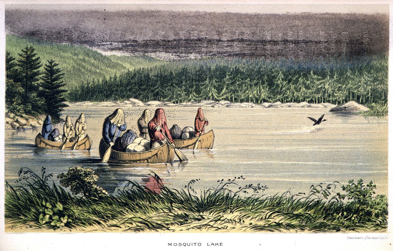 O Lago Mosquito no Canadá: Canoagem dos índios através do lago com redes mosquiteiras na cabeça - em "Exploration of the Labrador Peninsula", por Hind, Londres de Unknown artist