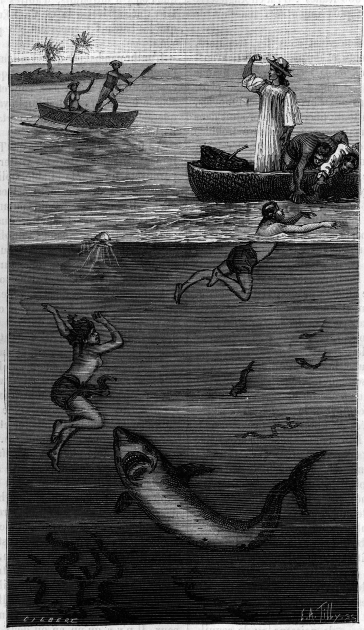 Cultura de mãe de pérolas no Taiti: uma mãe colhedora de pérolas atacada por um tubarão. (De acordo com os documentos comunicados pelo autor). Gravura em "La Nature: Revue des sciences et de leurs applications aux arts et a l