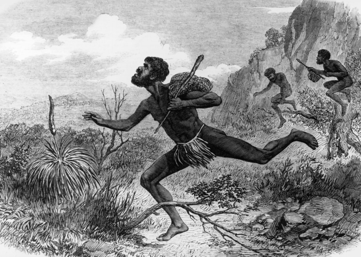 Nativos (Aborígenes) da Austrália durante a caça às abelhas 1863, gravura de Unknown artist