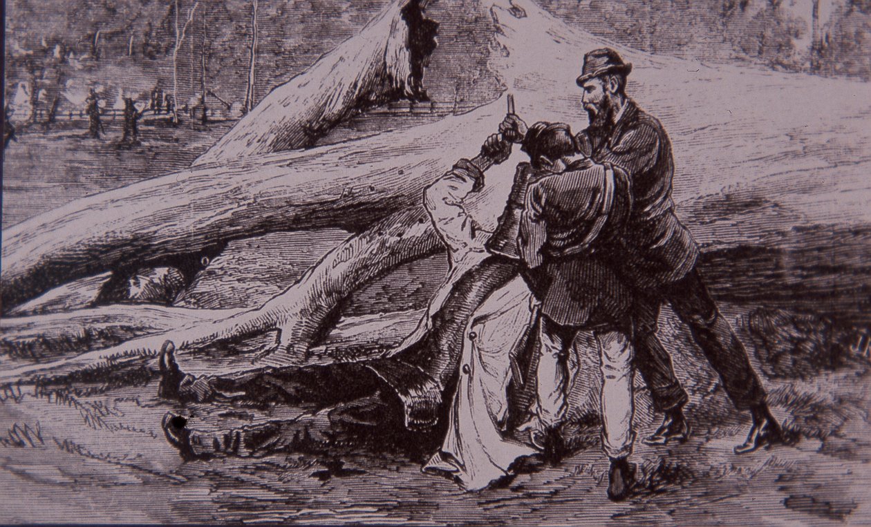 Ned Kelly capturado pelo Policial Kelly e pelo ferroviário Jesse Dowsett, 28 de junho de 1880 (gravura) de Unknown artist