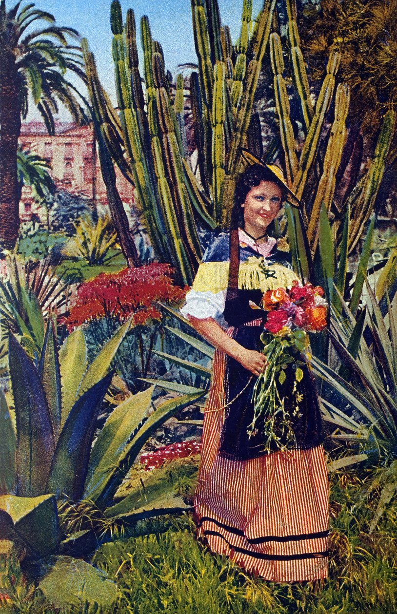 Nicoise. Cartão postal por volta de 1930. Arquivo Municipal de Nice. de Unknown Artist